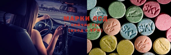 твердый Алзамай