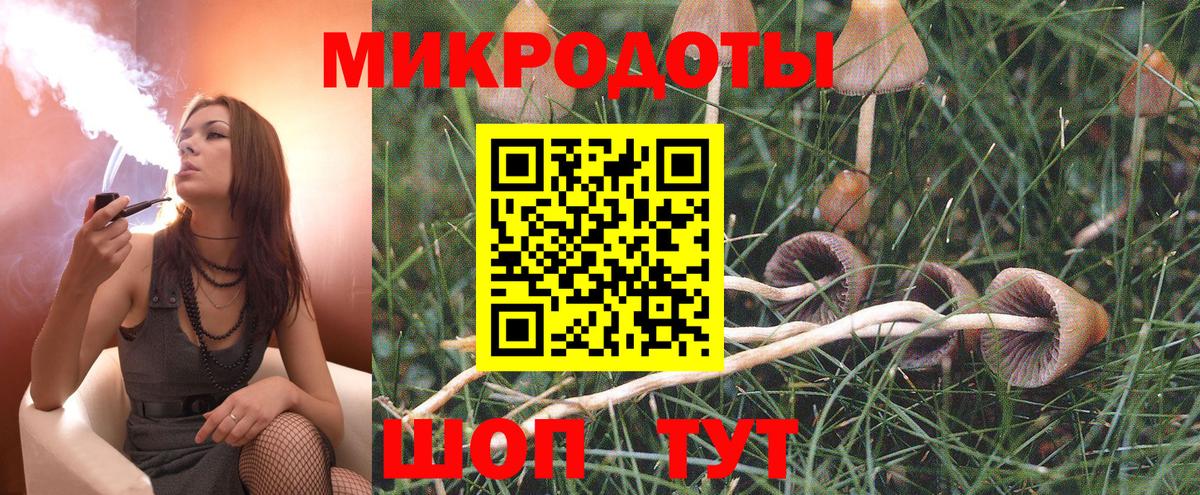Чайковский  Псилоцибиновые грибы мицелий  Вход с VPN 